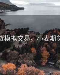 小麦期货模拟交易，小麦期货没人做