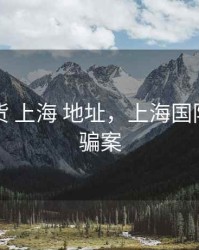 国际期货 上海 地址，上海国际期货诈骗案