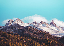 期货 贵金属 亏钱，贵金属期货投资