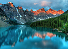 焦煤期货持仓龙虎榜，焦煤主力期货东方财富网