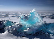 期货 机构观点，期货机构业务