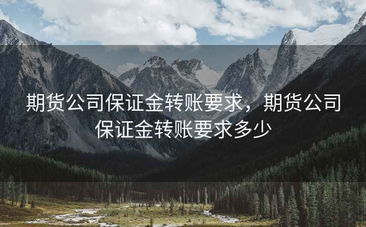 期货公司保证金转账要求，期货公司保证金转账要求多少
