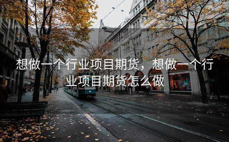想做一个行业项目期货，想做一个行业项目期货怎么做