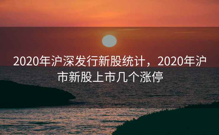 2020年沪深发行新股统计，2020年沪市新股上市几个涨停