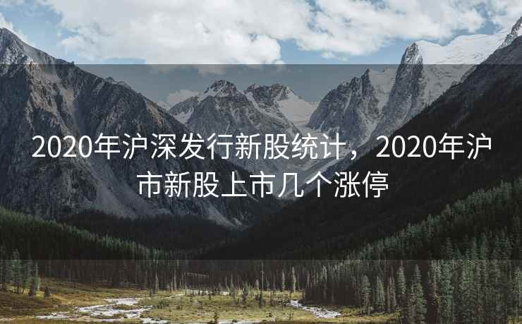 2020年沪深发行新股统计，2020年沪市新股上市几个涨停