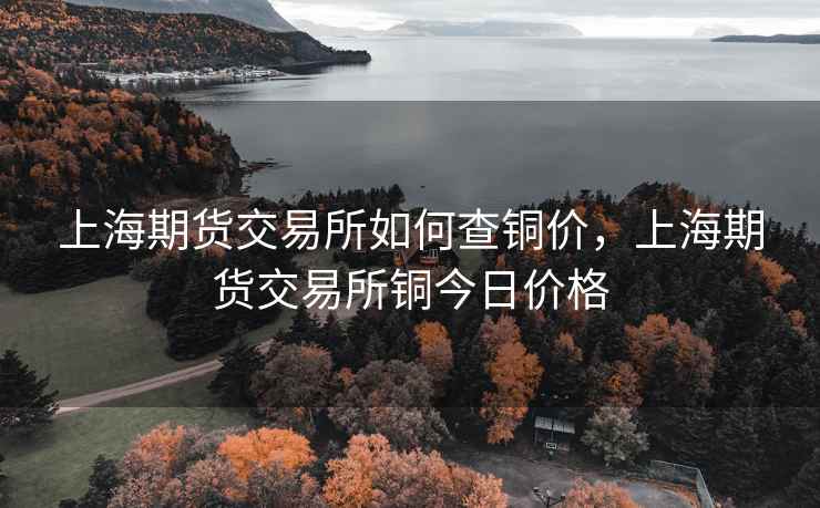 上海期货交易所如何查铜价，上海期货交易所铜今日价格