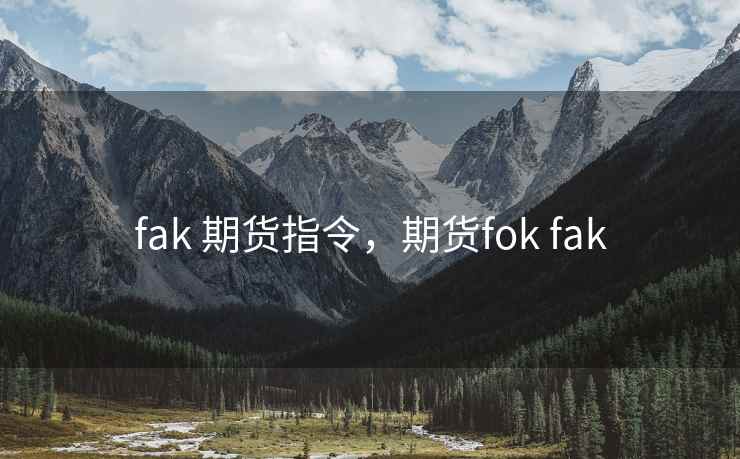 fak 期货指令，期货fok fak