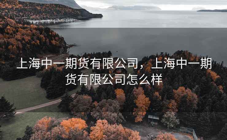 上海中一期货有限公司，上海中一期货有限公司怎么样