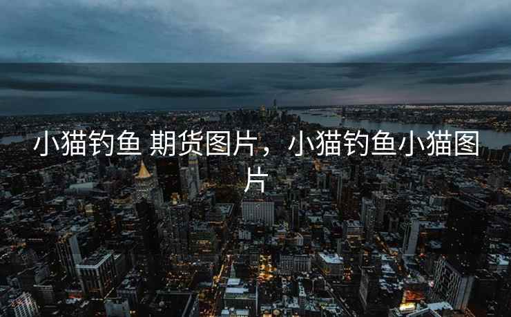 小猫钓鱼 期货图片，小猫钓鱼小猫图片