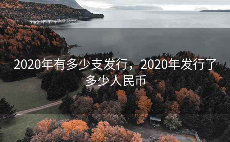 2020年有多少支发行，2020年发行了多少人民币