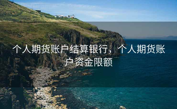 个人期货账户结算银行，个人期货账户资金限额