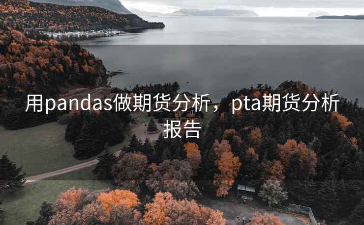 用pandas做期货分析，pta期货分析报告