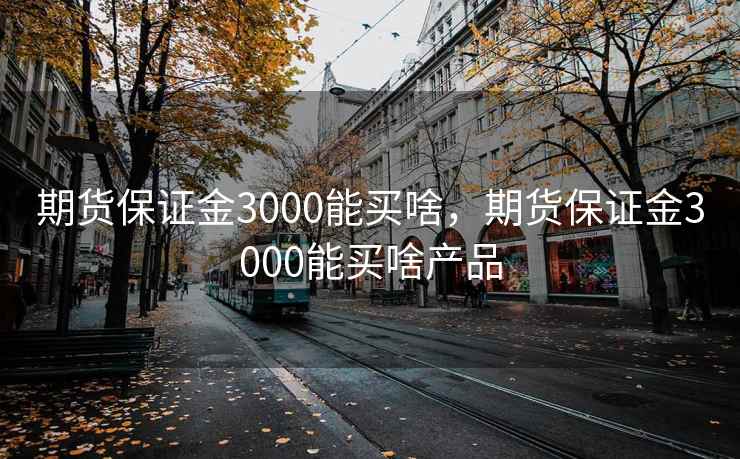 期货保证金3000能买啥，期货保证金3000能买啥产品