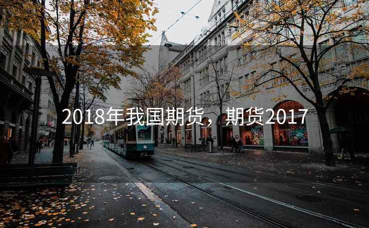 2018年我国期货，期货2017